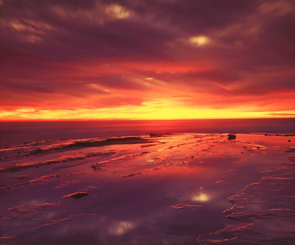 CA, San Diego, Sunset Cliffs tide pools at Sunset art print by Christopher Talbot Frank for $57.95 CAD