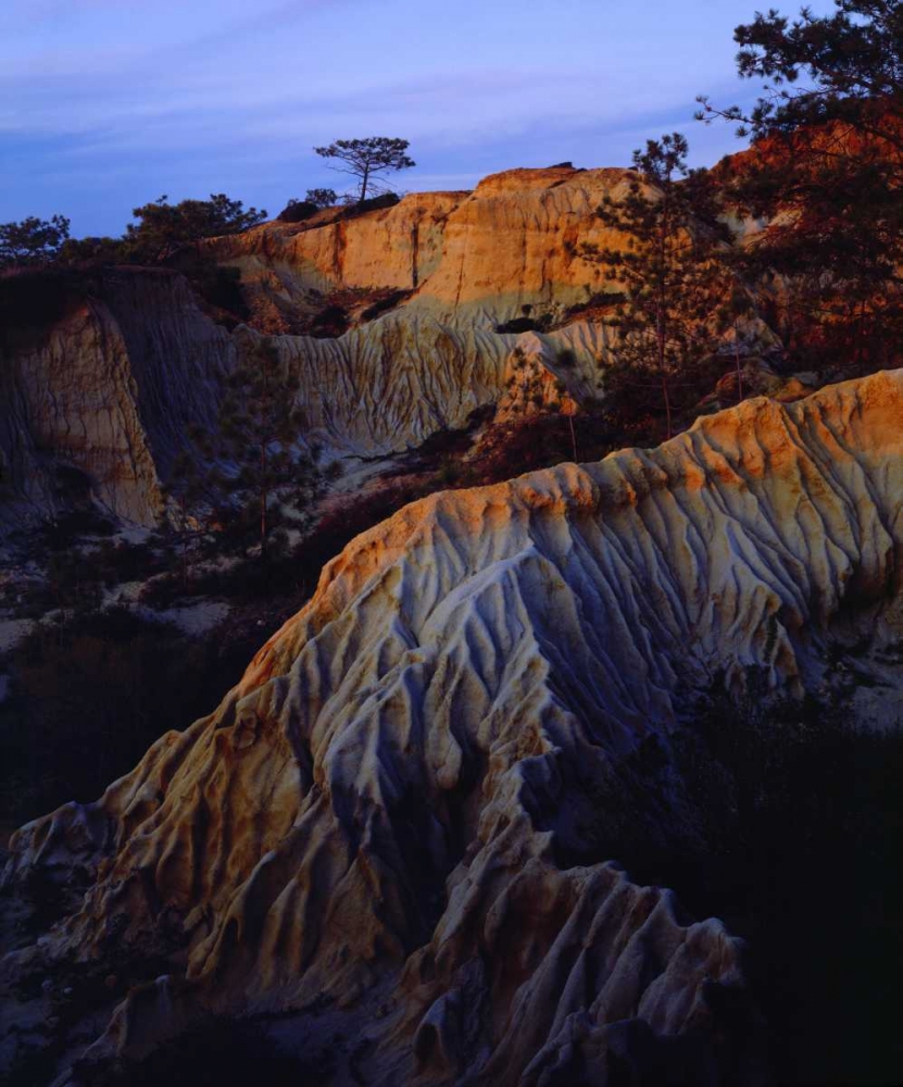 CA, San Diego Sandstone at Torrey Pines SP art print by Christopher Talbot Frank for $57.95 CAD