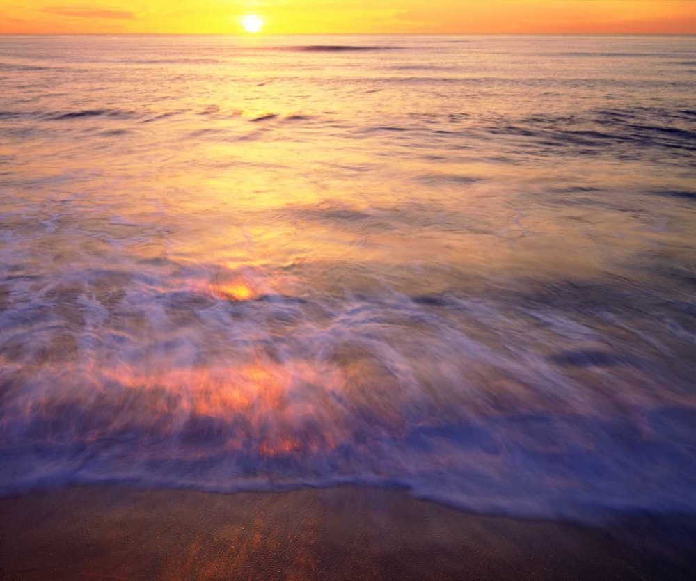 CA, San Diego Sunset Cliffs Beach at Sunset art print by Christopher Talbot Frank for $57.95 CAD