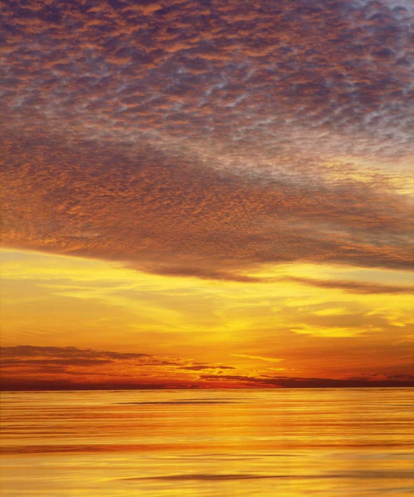 CA, San Diego Sunset Cliffs by the ocean,sunset art print by Christopher Talbot Frank for $57.95 CAD