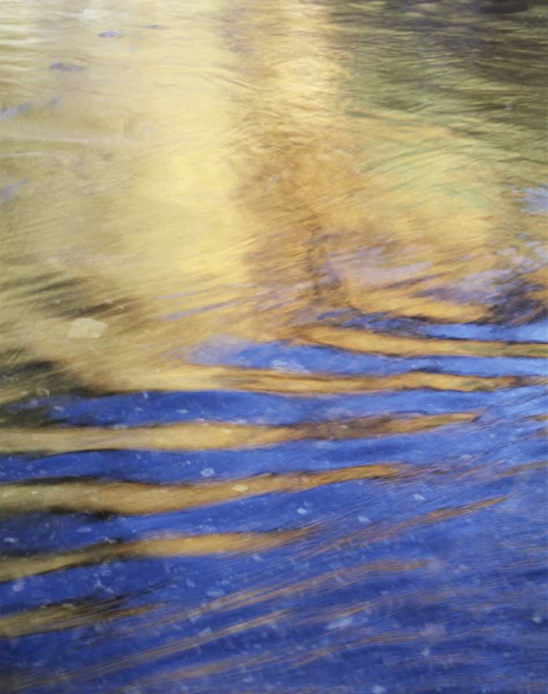 CA, Sierra Nevada, Autumn reflects in Rush Creek art print by Christopher Talbot Frank for $57.95 CAD