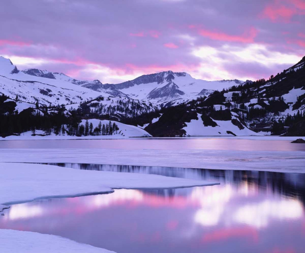 California, Sierra Nevada, Ellery Lake at Sunset, art print by Christopher Talbot Frank for $57.95 CAD