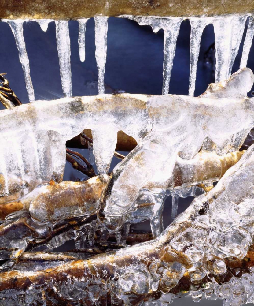 California, Sierra Nevada, Icicles in the Sierra art print by Christopher Talbot Frank for $57.95 CAD