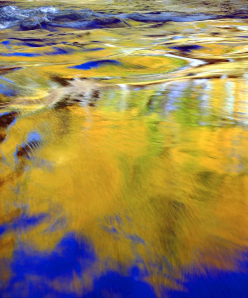 CA, Sierra Nevada, Autumn Forest Reflection art print by Christopher Talbot Frank for $57.95 CAD