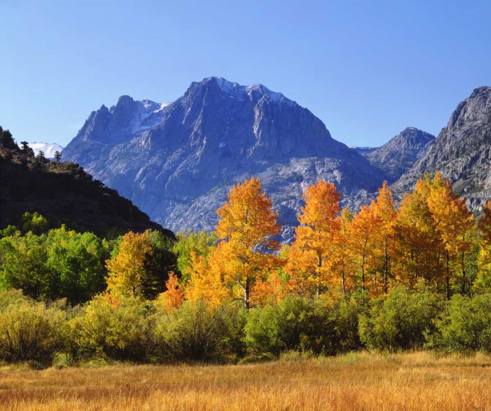 California, Autumn in the Sierra Nevada Mts art print by Christopher Talbot Frank for $57.95 CAD