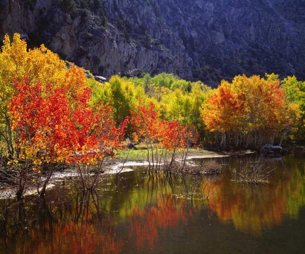 California, Sierra Nevada Autumn in the Sierras art print by Christopher Talbot Frank for $57.95 CAD