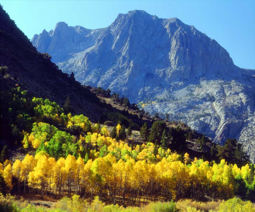 California, Sierra Nevada Autumn in the Sierras art print by Christopher Talbot Frank for $57.95 CAD