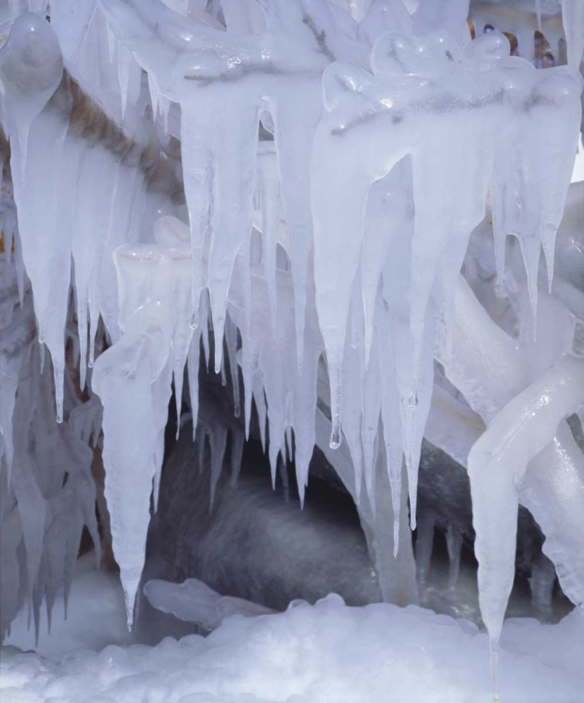 California, Sierra Nevada Icicles in the Sierra art print by Christopher Talbot Frank for $57.95 CAD