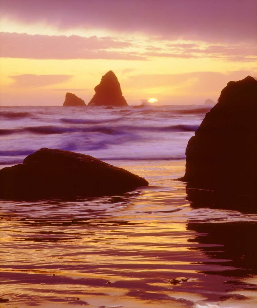 CA, Trinidad, Sunset over Trinidad Beach art print by Christopher Talbot Frank for $57.95 CAD
