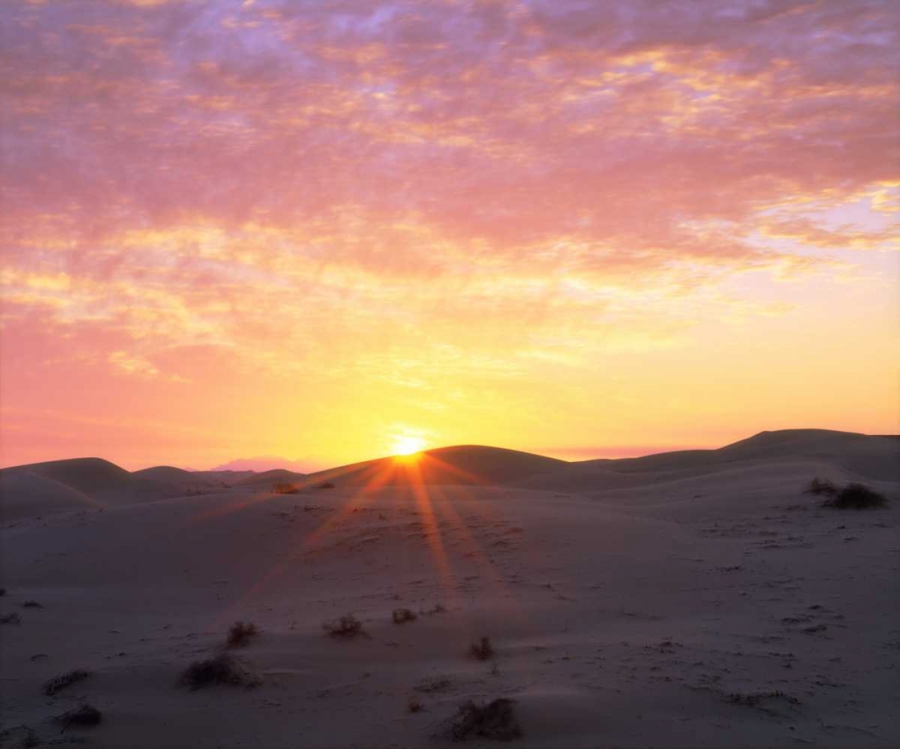 USA, California, Glamis Sand Dunes at Sunrise art print by Christopher Talbot Frank for $57.95 CAD