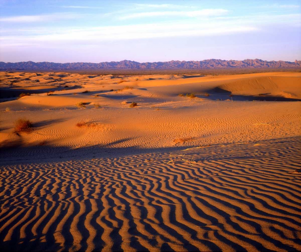 USA, California, Glamis Sand Dunes at Sunset art print by Christopher Talbot Frank for $57.95 CAD