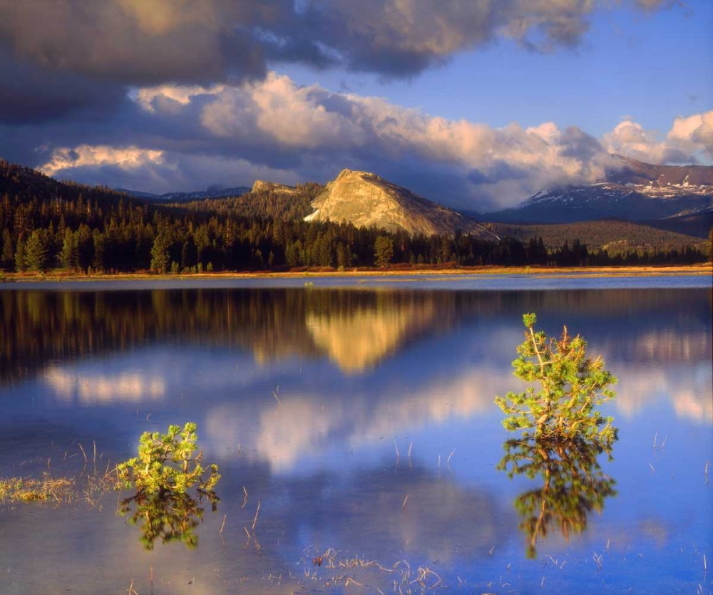 CA, Yosemite Lembert Dome and Tuolumne River art print by Christopher Talbot Frank for $57.95 CAD