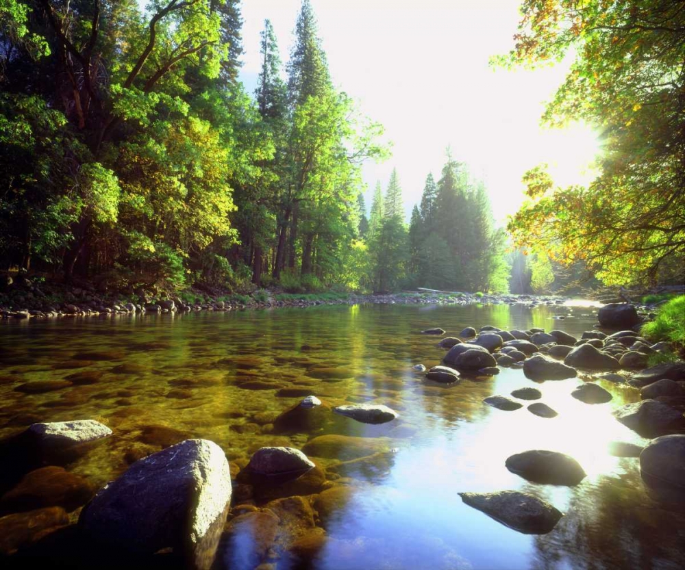 USA, California, Yosemite NP The Merced River art print by Christopher Talbot Frank for $57.95 CAD