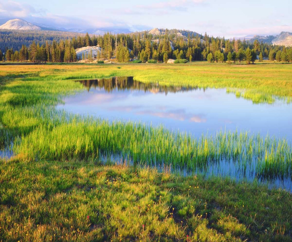 CA, Yosemite The Tuolumne River in the Meadow art print by Christopher Talbot Frank for $57.95 CAD