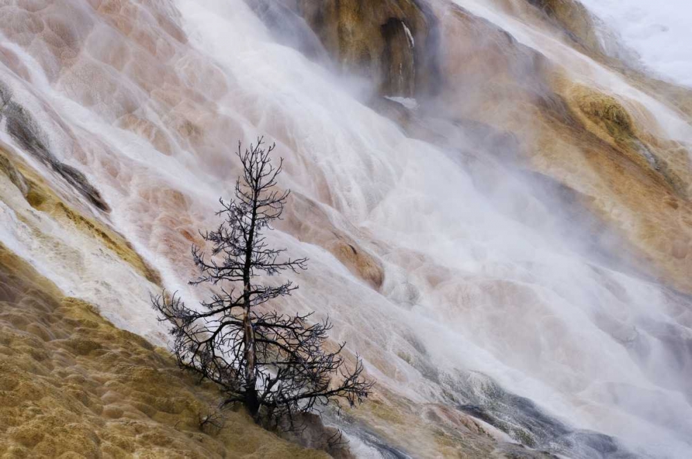 Wyoming Mammoth Hot Springs waterfall art print by Marie Bush for $57.95 CAD