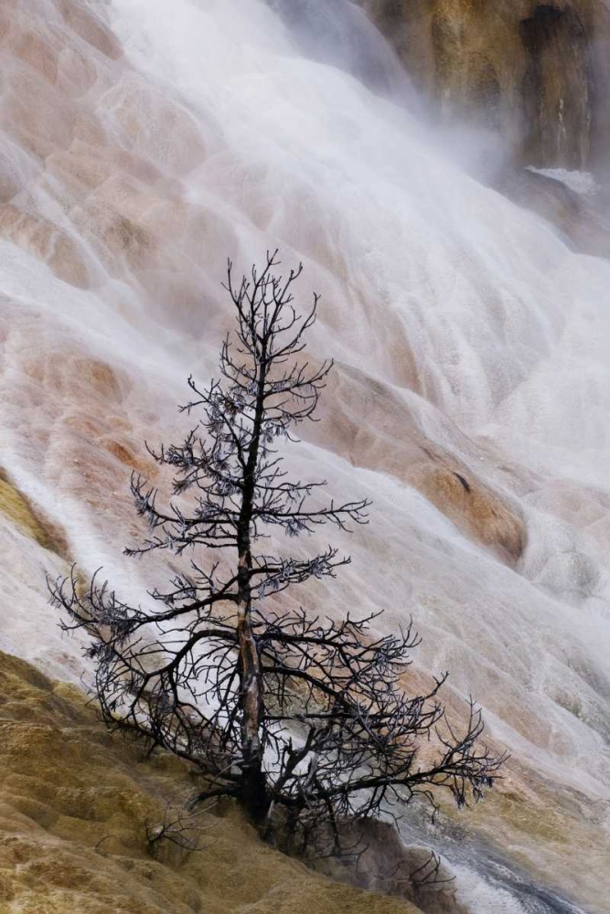 Wyoming Mammoth Hot Springs waterfall art print by Marie Bush for $57.95 CAD