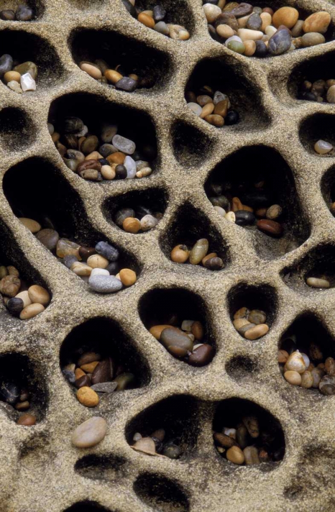 California Pebbles collected in rock cavities art print by Marie Bush for $57.95 CAD