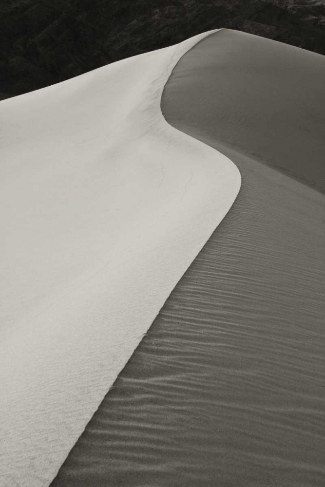 CA, Death Valley S-shaped dune ridge in morning art print by Bill Young for $57.95 CAD