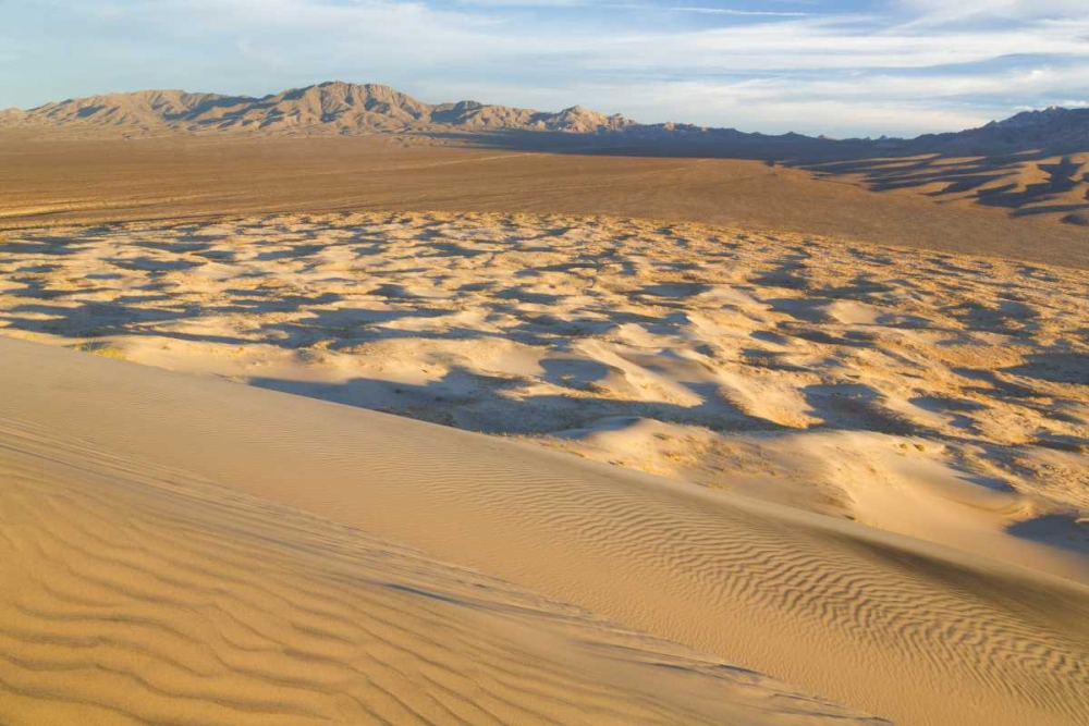 CA, Mohave National Preserve Kelso Dunes art print by Don Paulson for $57.95 CAD