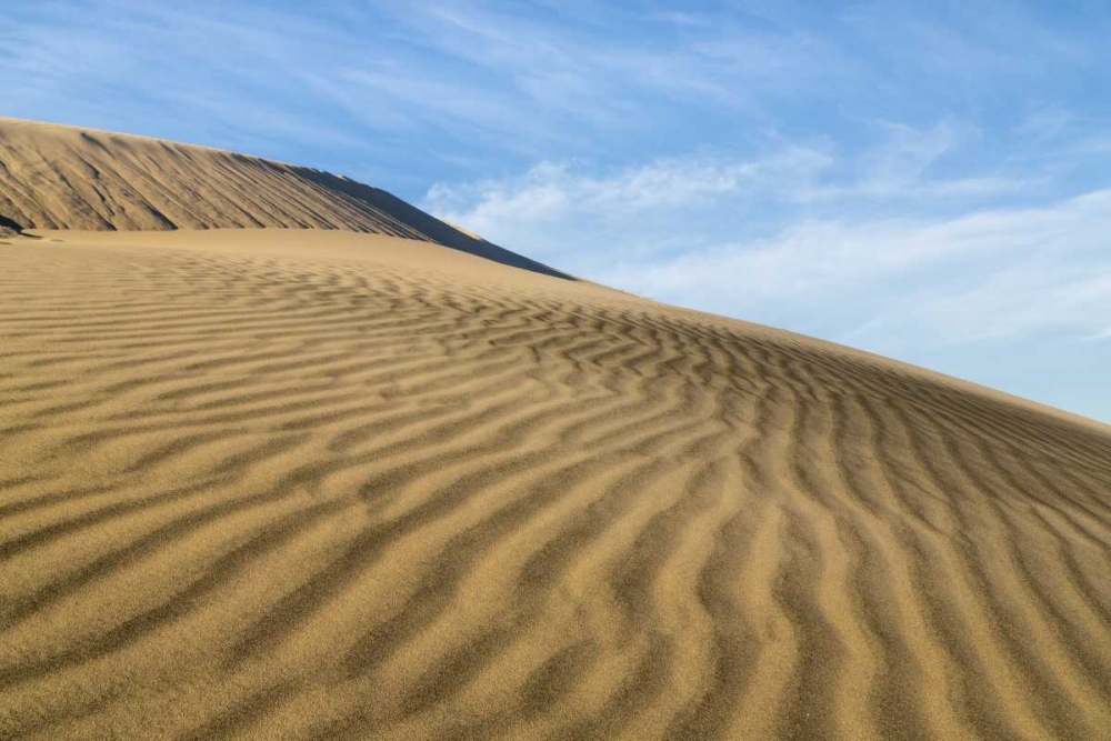 CA, Mohave National Preserve Rippled sand dunes art print by Don Paulson for $57.95 CAD