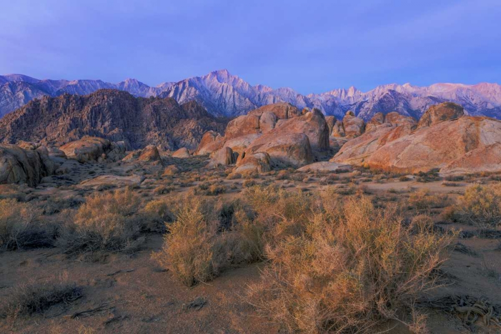 CA, Alabama Hills Lone Pine Peak and Mt Whitney art print by Don Paulson for $57.95 CAD