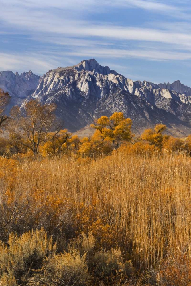 California Lone Pine Peak from Alabama Hills art print by Don Paulson for $57.95 CAD