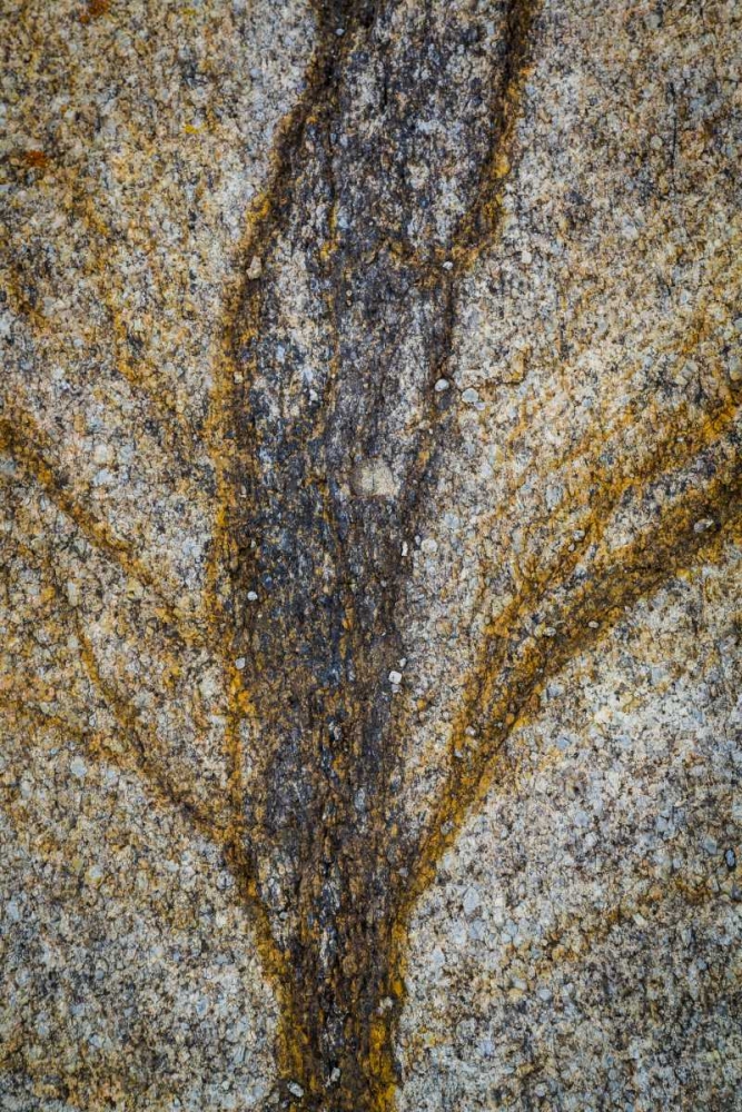 California, Alabama Hills Close-up of rock stain art print by Don Paulson for $57.95 CAD