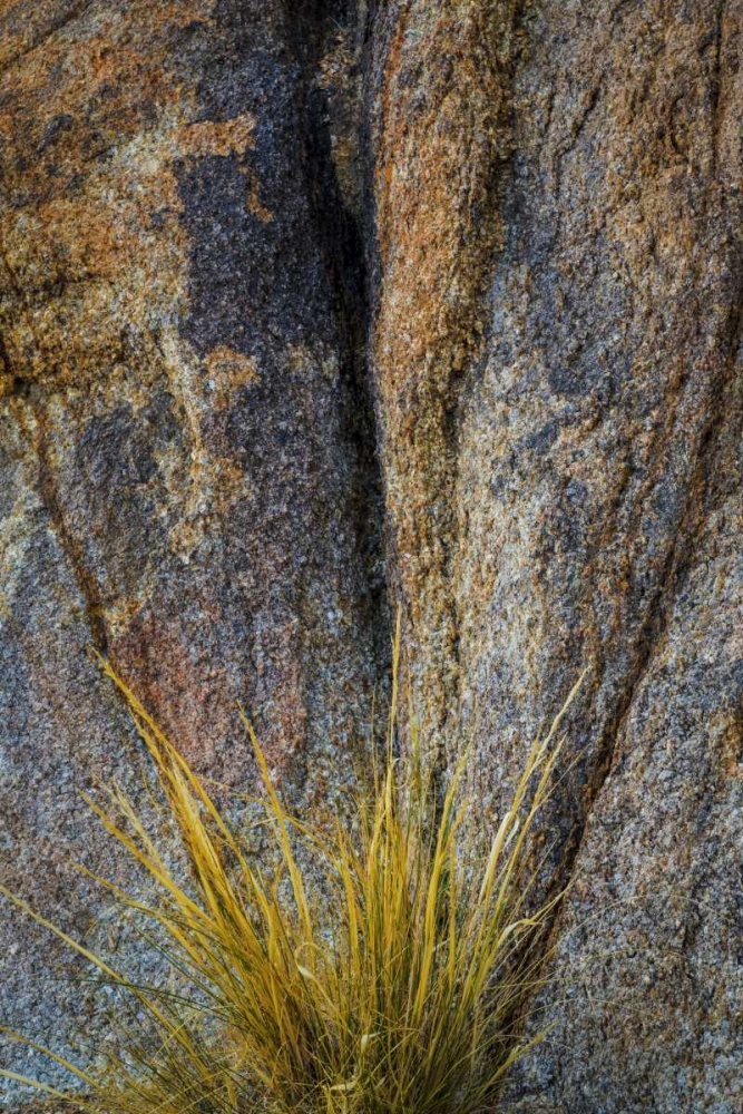 California, Alabama Hills Rock face and grass art print by Don Paulson for $57.95 CAD