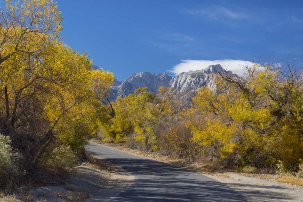 California, Alabama Hills Tuttle Creek Road art print by Don Paulson for $57.95 CAD