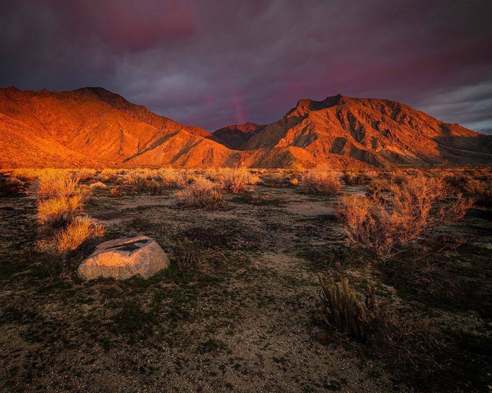 USA-California-Anza-Borrego Desert State Park. Desert landscape and mountains at sunrise. art print by Jaynes Gallery for $57.95 CAD