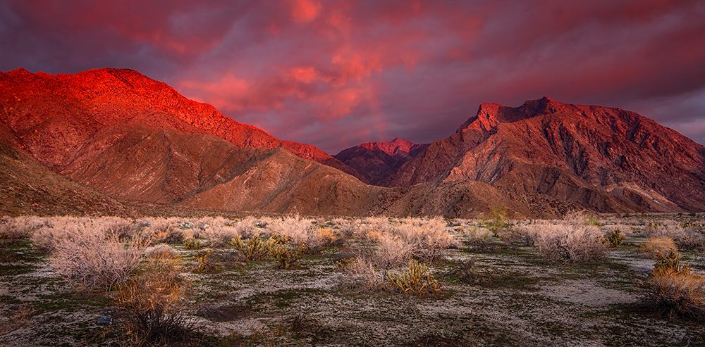 USA-California-Anza-Borrego Desert State Park. Desert landscape and mountains at sunrise. art print by Jaynes Gallery for $57.95 CAD