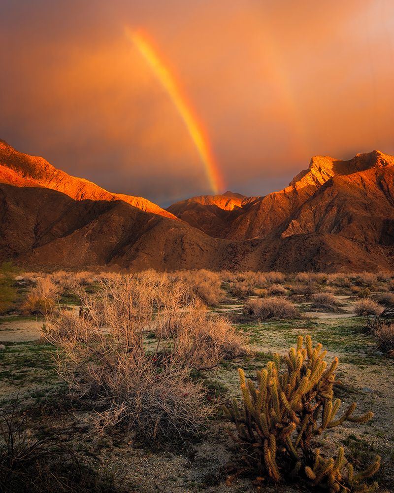 USA-California-Anza-Borrego Desert State Park. Rainbow over desert mountains at sunrise. art print by Jaynes Gallery for $57.95 CAD
