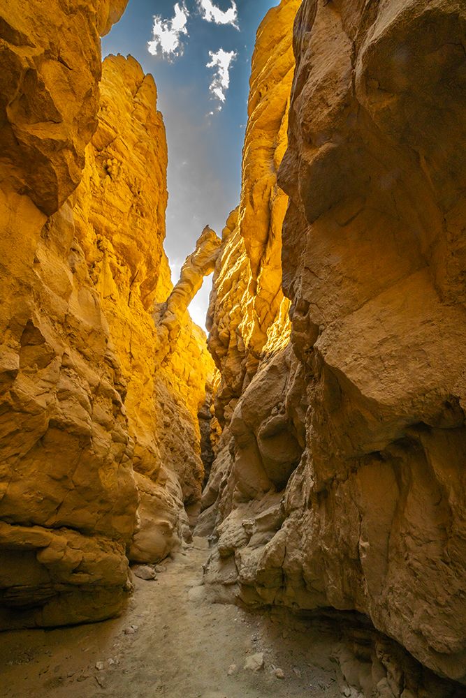 USA, California, Anza Borrego Desert State Park. Slot canyon trail. art print by Jaynes Gallery for $57.95 CAD