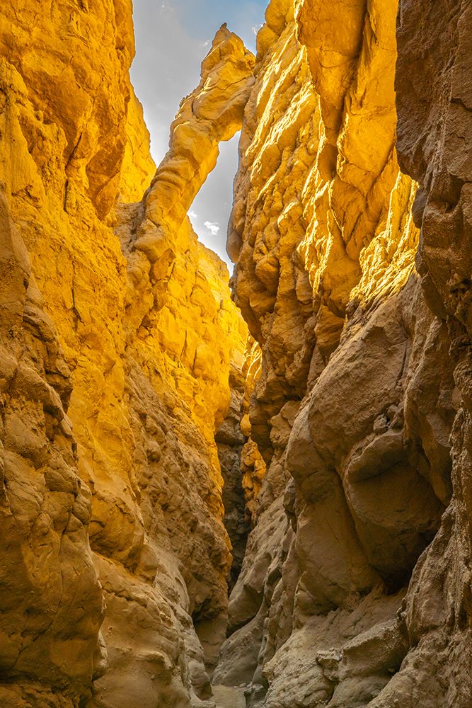 USA, California, Anza Borrego Desert State Park. Slot canyon scenic. art print by Jaynes Gallery for $57.95 CAD