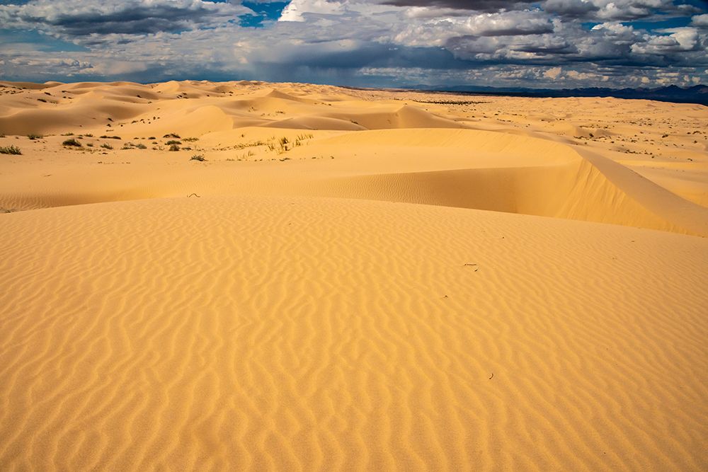 USA, California, Imperial Sand Dunes Recreation Area. Sand dune ripples. art print by Jaynes Gallery for $57.95 CAD