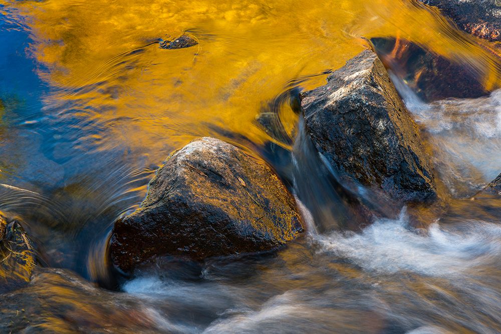 Usa-California Morning sun shines gold on the waters of the South Fork American River art print by Betty Sederquist for $57.95 CAD