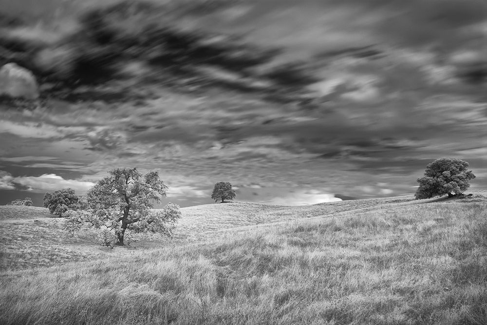 Infrared image of clouds-grasslands and oak trees in Amador County art print by Betty Sederquist for $57.95 CAD
