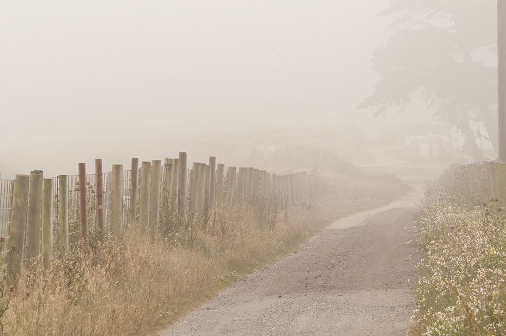 Usa-California Fog blankets this driveway at Point Reyes art print by Betty Sederquist for $57.95 CAD