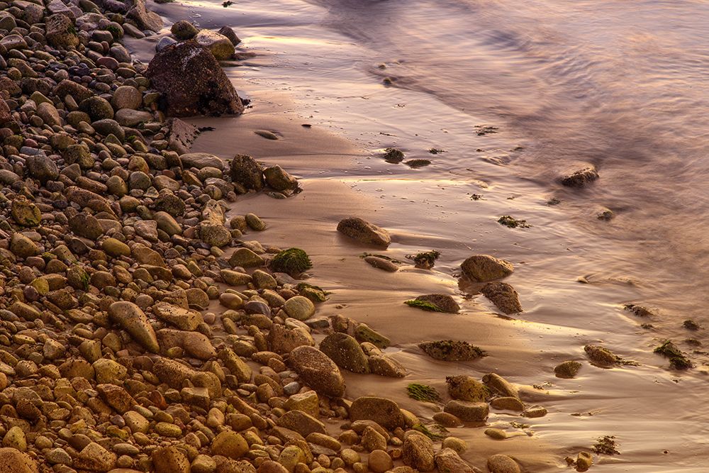 Usa-California The headlands of Point Reyes art print by Betty Sederquist for $57.95 CAD