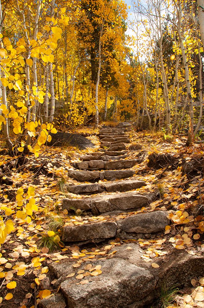 These stone stairs behind Sorensens Resort (now Wylder Hotel) art print by Betty Sederquist for $57.95 CAD