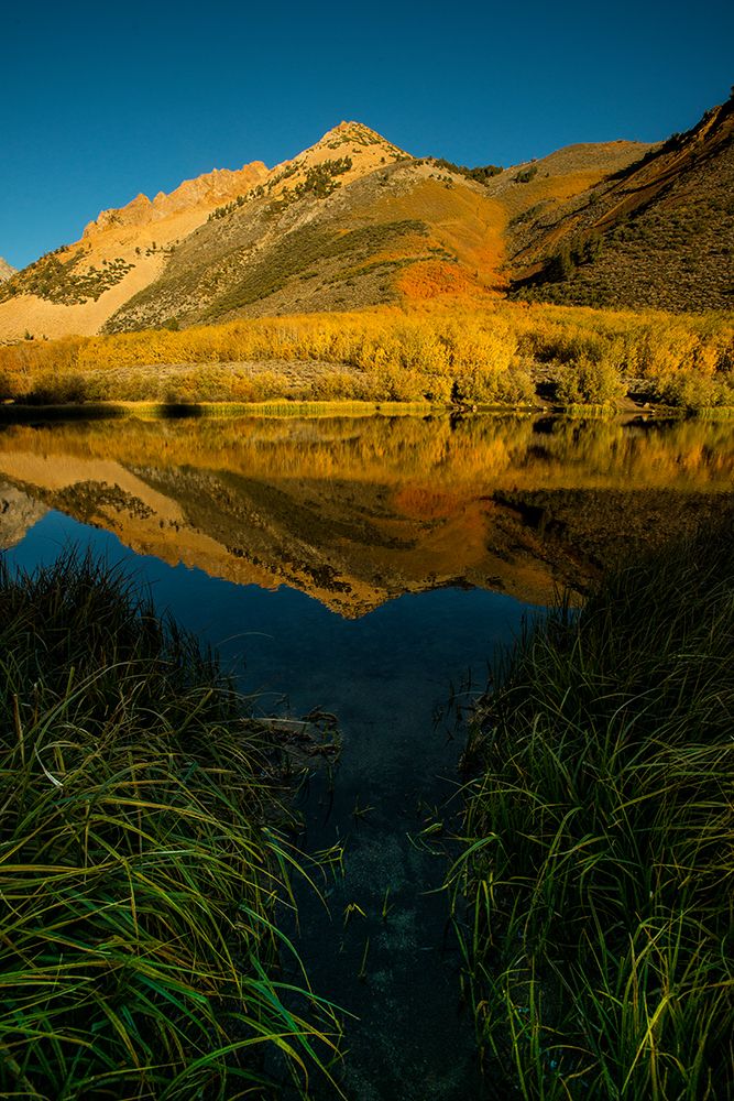 Usa-California-Sierra Nevada Morning sun lights up North Lake and the golden aspens beyond art print by Betty Sederquist for $57.95 CAD