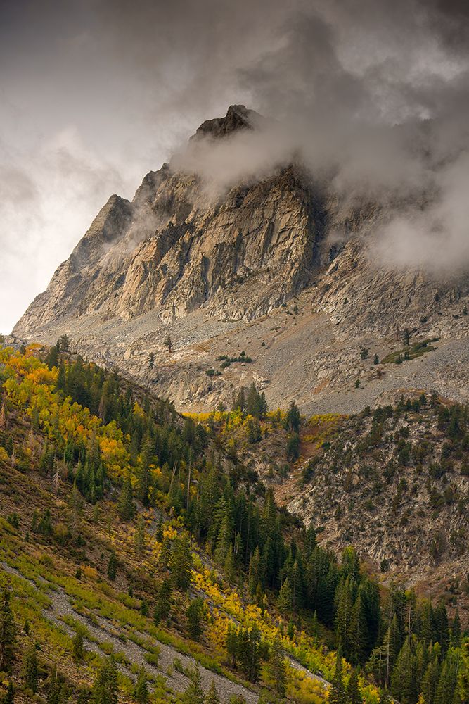 Usa-California-Sierra Nevada Mighty Peaks in the Lundy Lake area in fall art print by Betty Sederquist for $57.95 CAD