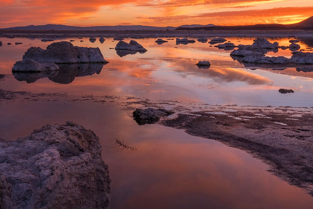 Usa-California-Sierra Nevada Mono Lake art print by Betty Sederquist for $57.95 CAD