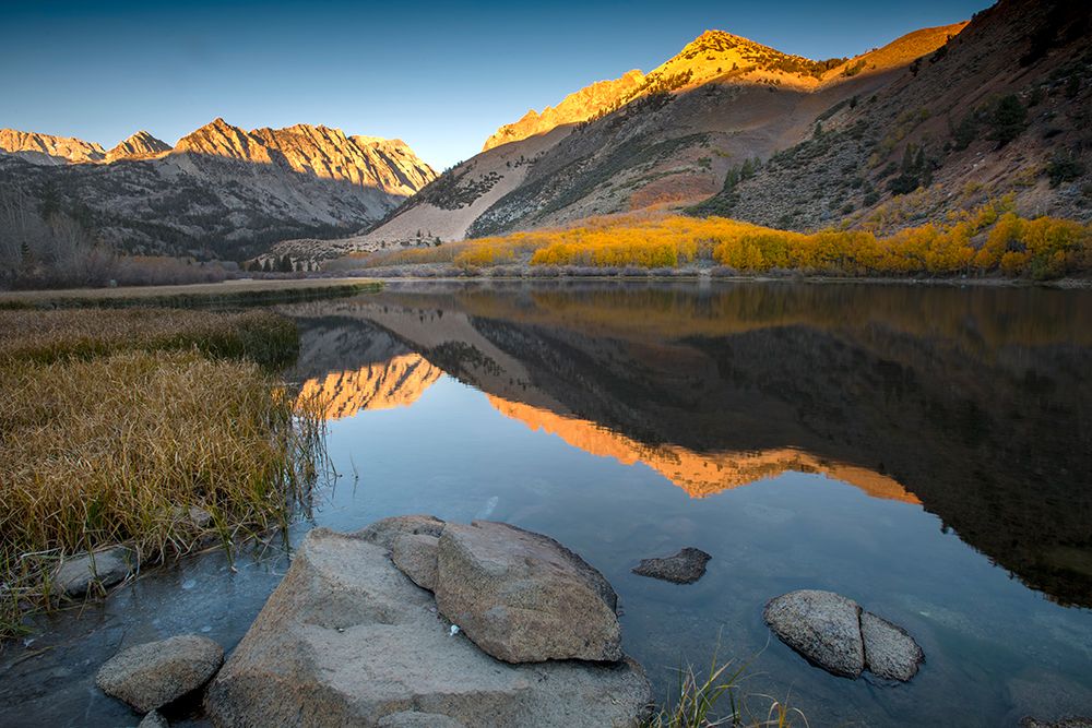 Usa-California-Sierra Nevada On a freezing autumn morning-North Lake glows with aspen colors art print by Betty Sederquist for $57.95 CAD