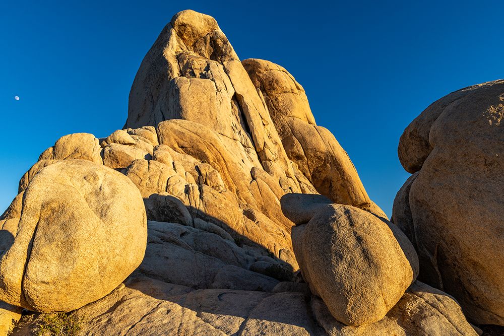 Intersection Rock in Joshua Tree National Park, California, USA art print by Chuck Haney for $57.95 CAD