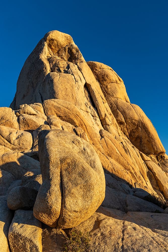 Intersection Rock in Joshua Tree National Park, California, USA art print by Chuck Haney for $57.95 CAD