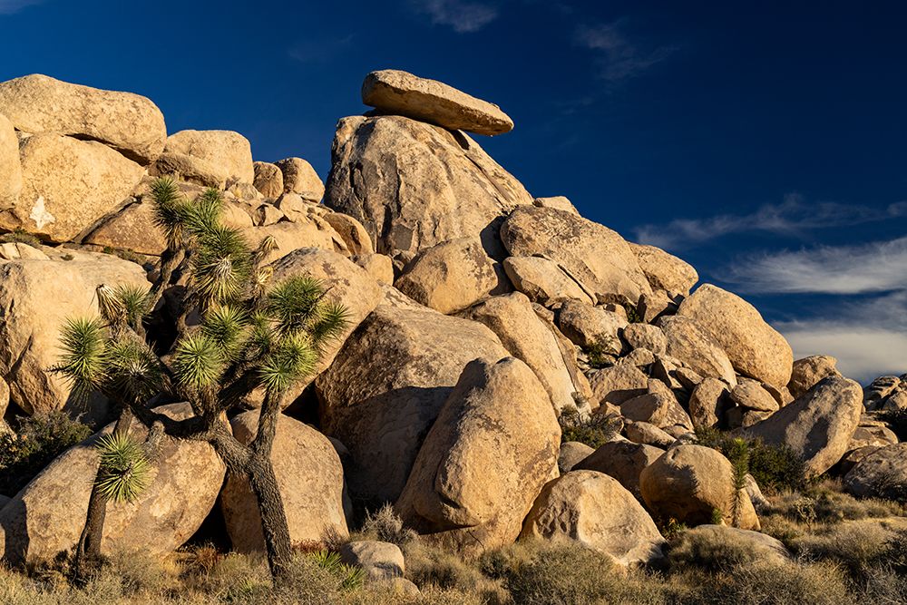 Caprock in Joshua Tree National Park, California, USA art print by Chuck Haney for $57.95 CAD