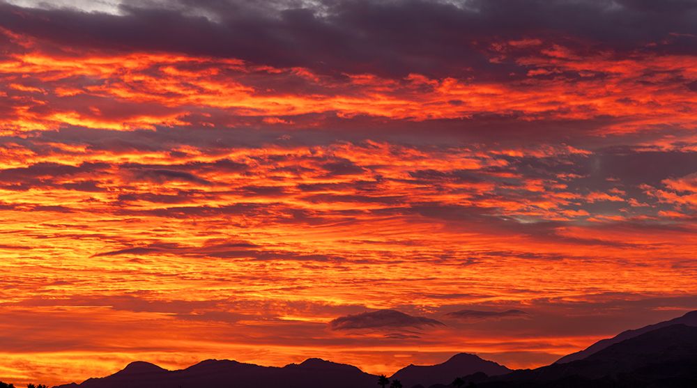 Stunning sunrise skies over Palm Springs, California, USA art print by Chuck Haney for $57.95 CAD