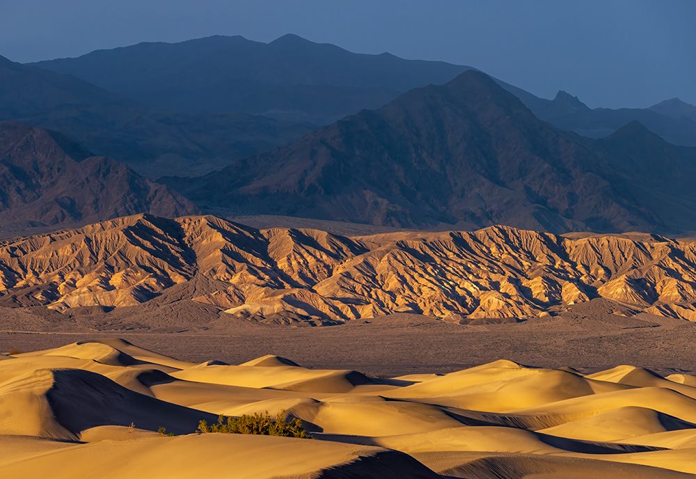 Dramatic sunset light on the Mesquite Sand Dunes in Death Valley National Park, California, USA. art print by Chuck Haney for $57.95 CAD