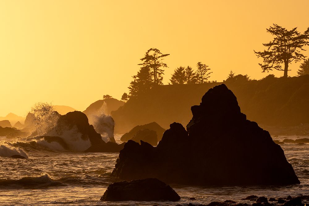 USA, California, Crescent City. Seastack along coastline at sunset art print by Darrell Gulin for $57.95 CAD